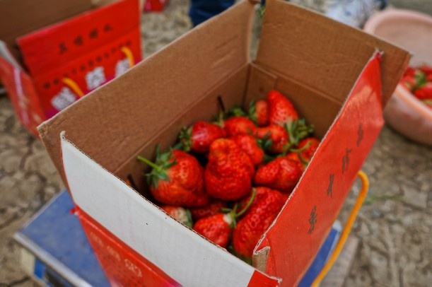 圖片關(guān)鍵詞