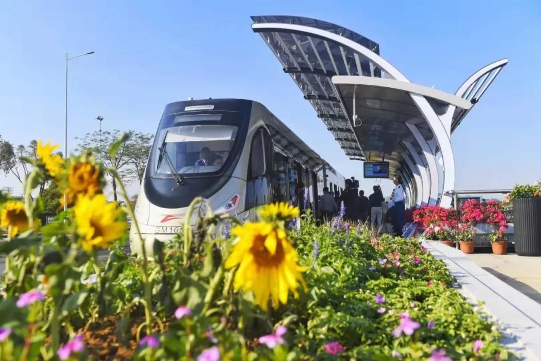 1607305887653394.jpg 1.jpg